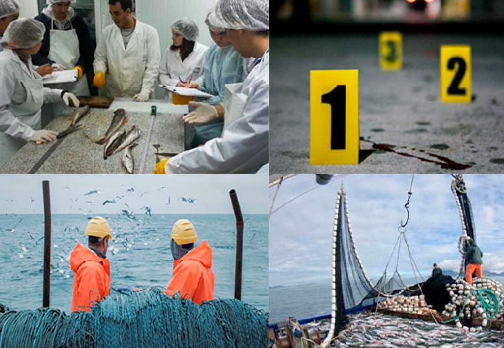 Ingenieria Pesquera Forense