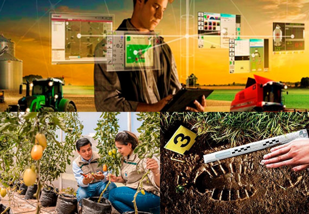 Ingenieria Agrícola Forense