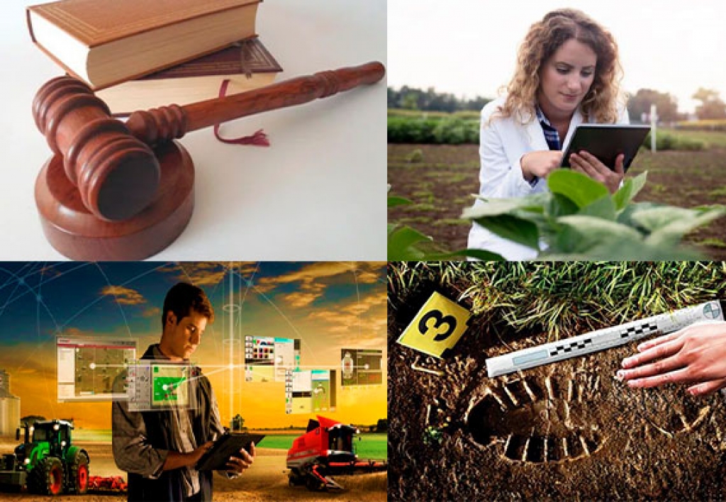 Perito en Ingenieria Agrícola Jurídica, Legal y Forense