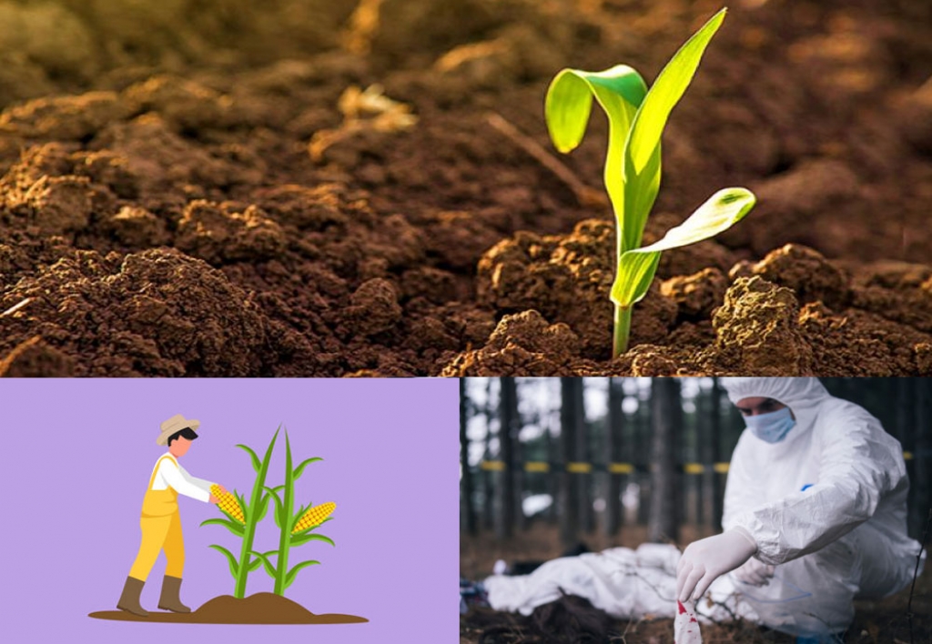 Ingeniería Agrónoma Forense