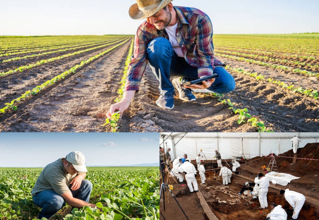Perito en Ingeniería Agrónoma Forense