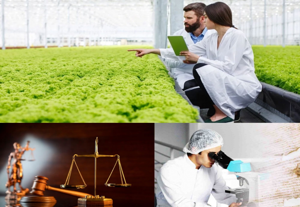 Perito en Ingeniería Agrónoma Jurídica, Legal y Forense
