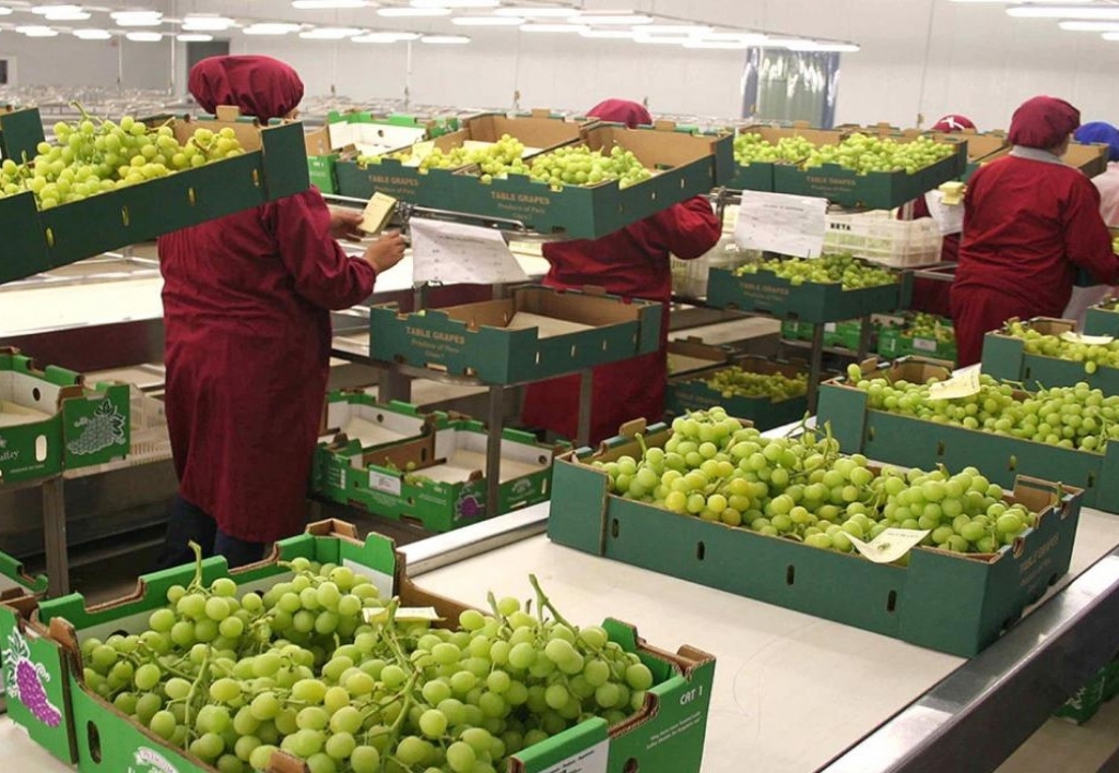 Agroexportaciones